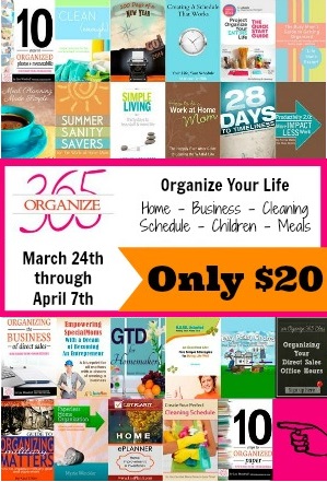 Get organized with this ebook bundle. Only $20 to organize every aspect of your life. Perfect from work from home moms!