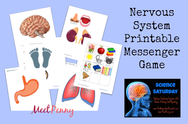 Nervous System Lesson with Printable Game