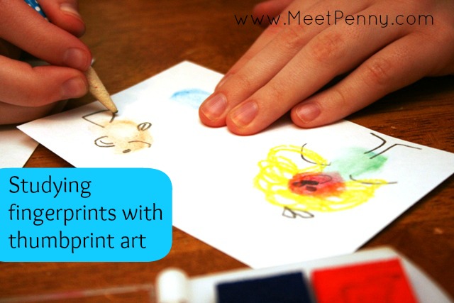 Make studying fingerprints fun with thumbprint art. Lots of other ideas for studying the skin here.