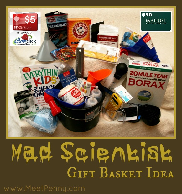 DIY Mad Scientist Gift Basket Idea for Kids