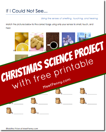Quick and easy Christmas science project using the 5 senses. Includes a free printable.