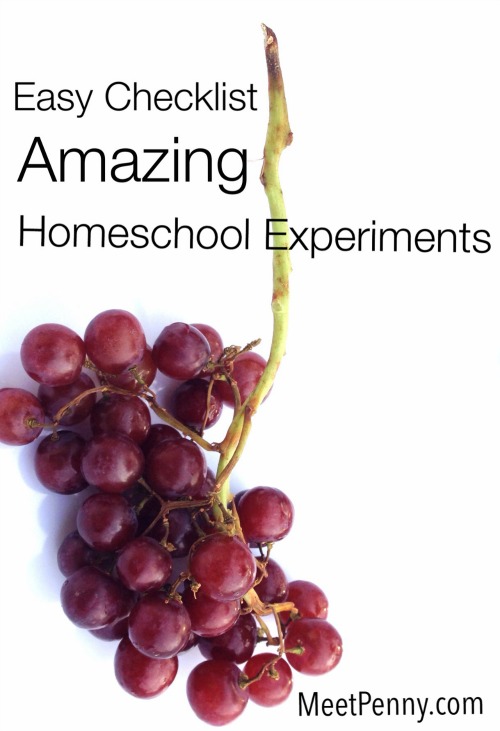 Such a simple homeschool science experiment. Virtually NO prep required.