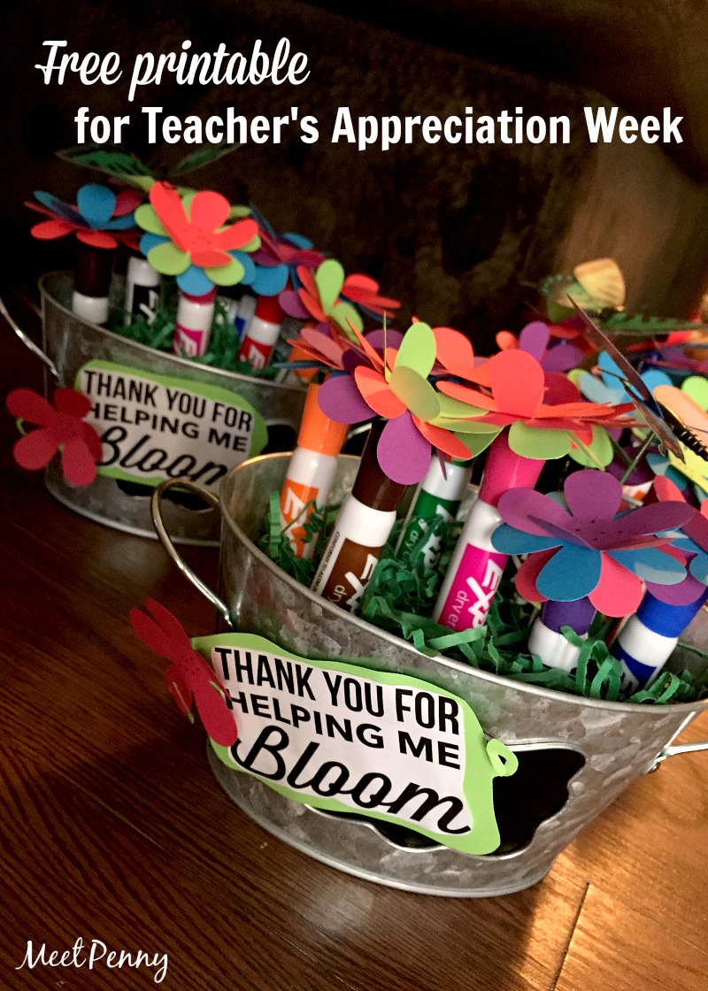 This Expo Marker teacher gift idea is simple and cute... Perfect for Teacher's Appreciation Week. Includes a free printable.